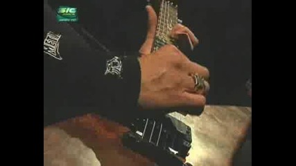 Metallica - No Leaf Clover