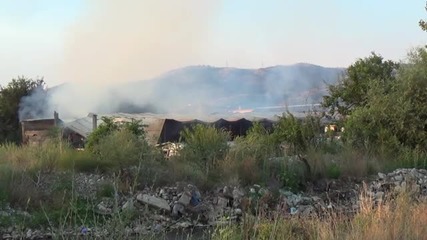 Два коня и хиляди бали слама изгоряха при пожар в стопански двор