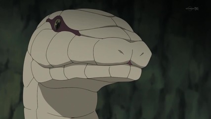 Naruto Shippuuden - 333