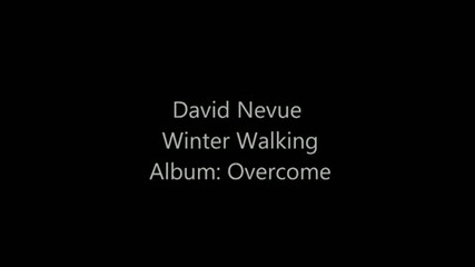 David Nevue - Winter Walk