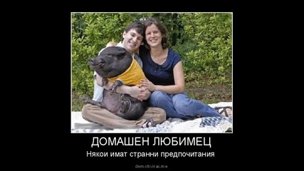 смешни снимки от интернет