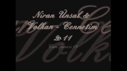 niran unsal & volkan cennetim (2011)