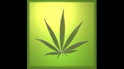 Kingsize - Marihuana 