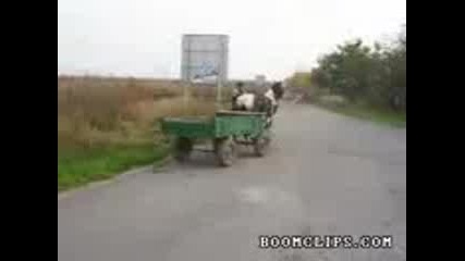 Смях: Кон на автопилот :d