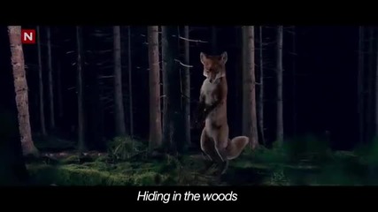 Ylvis - The Fox (what does the Fox say)