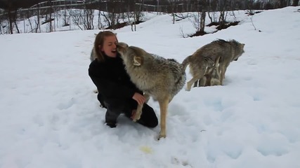 Анита се връща при вълците