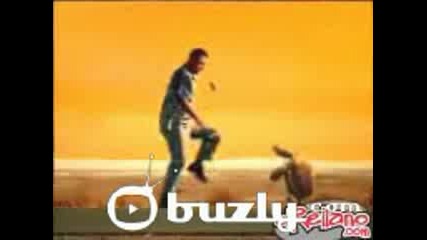 Turtle Beer 2