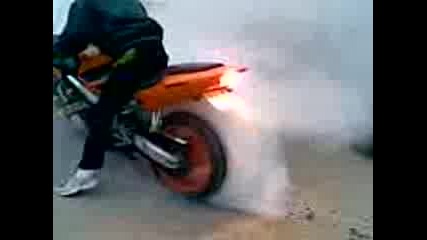Honda Cbr 600