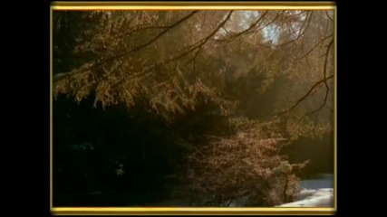 The Lonely Heart - Ennio Morricone