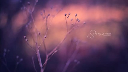 Severity Zero - Lullaby