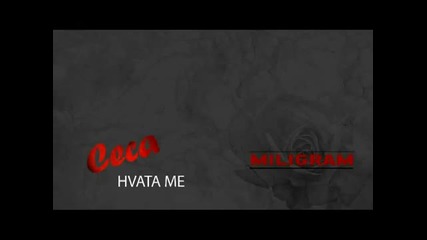 Ceca 2011 - Hvata me
