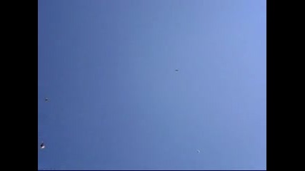 Моите николаевски гълъби в полет 