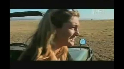 животни срещу животни