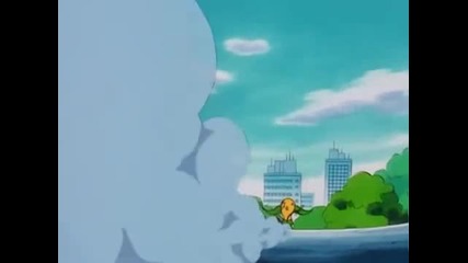 124 Pokemon - Flower Power