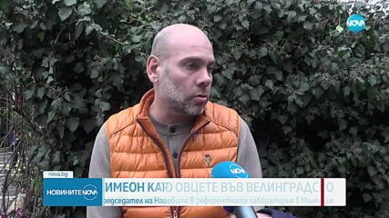 Собствениците на стадата, за които има съмнение, че са заразени, отказаха дезинфекция