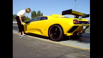 Roy Cats - Lamborghini Diablo Gtr 
