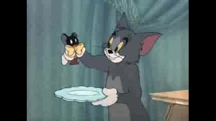 Tom And Jerry Casanova Cat Parody 