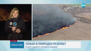 Три пожара в защитена местност край Русе