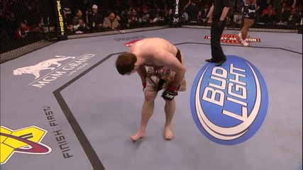 Ufc forrest Griffin vs. Rashad Evans