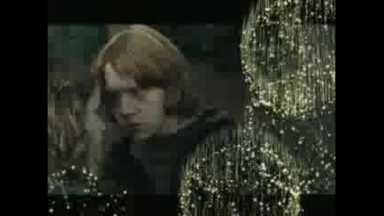 Рон И Хърмаяни Accio Love