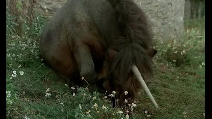 Черна луна (1975) част 3