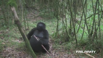 Best Fails of the Week 2 January 2013