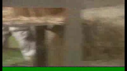 Др. Дулитъл 3 - Смях *hq*