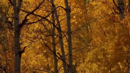 Matt Monro - Autumn Leaves