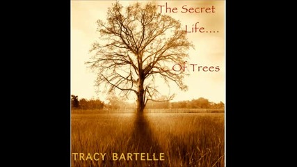 The Secret Life Of Trees Relax and Chill Out to 75 mins of music by film composer Tracy Bartelle