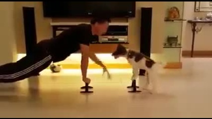Тренировка с куче, което доста добре разбира движенията