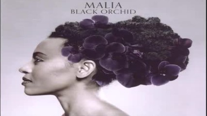 ✴ Malia Black Orchid ✴