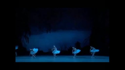 Swan Lake part 4