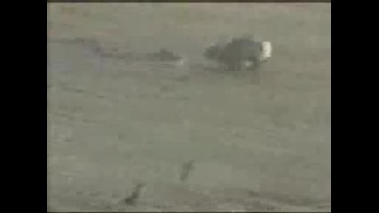 Zaek Sreshtu Zmiq Koy E Po Barz