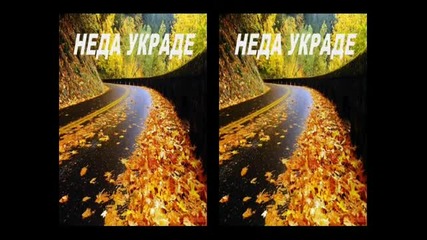 Neda Ukraden - Neka Ide Do Djavola
