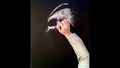 Eric Northman - Страхотно рисуване със сол