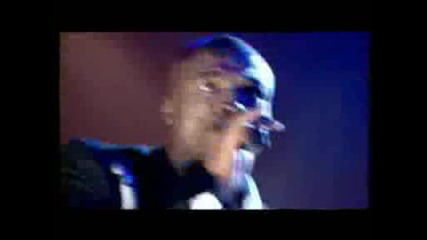 Seal Kiss from a rose (princes Trust 2004)