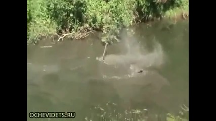Ето това е кола 