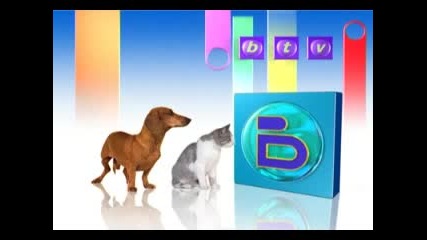 btv преди - Рекламата