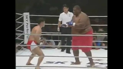 двубой - 76кг vs 272кг