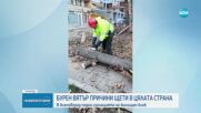 Бурен вятър причини щети в цялата страна