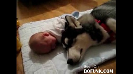 Куче и Бебе плачат заедно 