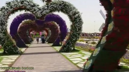 Dubai Miracle Gardens авторски
