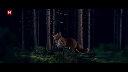 Превод* Ylvis - The Fox ( What Does The Fox Say)