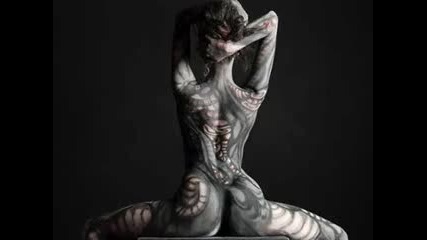 Body Ard - The Body 