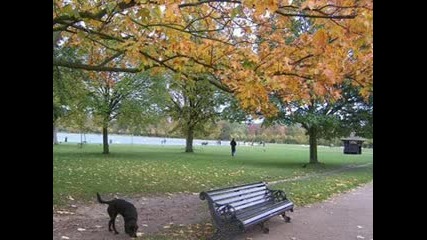 Tangerine Dream - Hyde Park