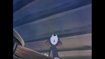 Tom and Jerry Episode 11 