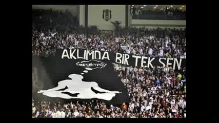 Besiktas Fens