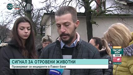 Отровени улични кучета в Павел баня