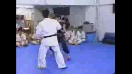 Karate Vs Different Kung - Fu Styles