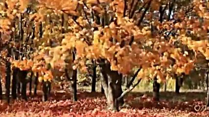 Yves Montand - Les Feuilles Mortes -